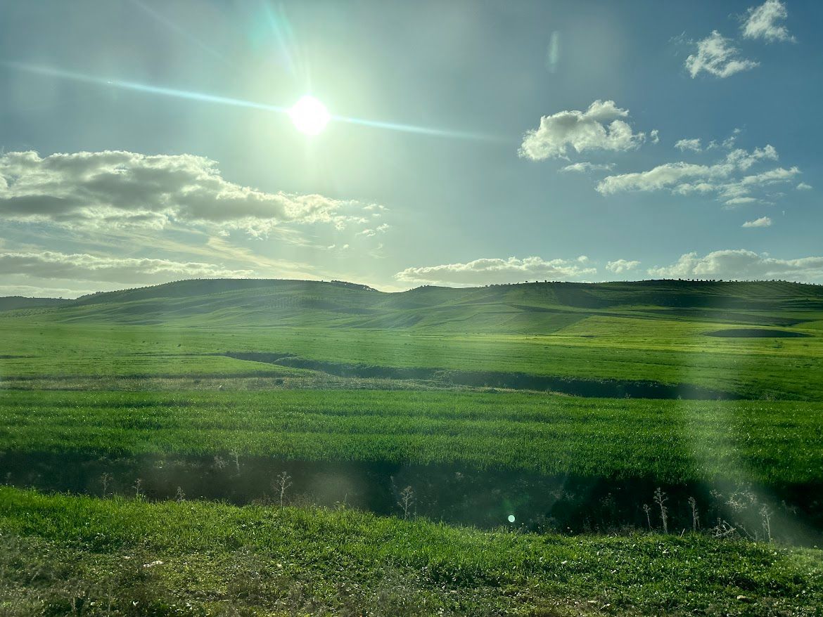 morocco-landscape-green